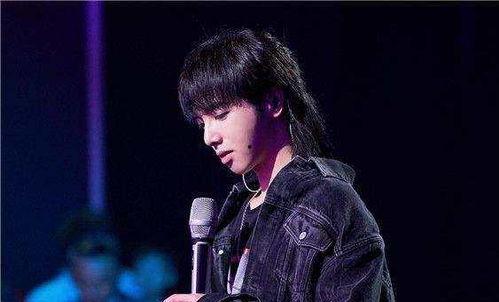 娱乐圈吃瓜华晨宇是谁啊,娱乐圈的“吃瓜”焦点人物